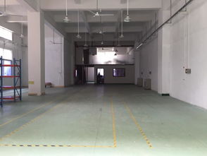 观澜优质产业空间 450平米精品豪装一楼厂房招租